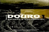 Relatóriose • tas de pesquisa A Organização do Povoamento e dos territórios do Vale do Douro durante a Idade Média — continuidades e rupturas