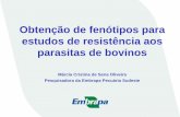 Obtenção de fenótipos para estudos de resistência aos ...sbmaonline.org.br/anais/xii/palestras/3.pdf · Por que selecionar para resistência aos parasitas? • Espoliação, transmissão