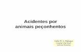 Acidentes por animais peçonhentos - Secretaria da Saúde · Acidentes por Animais Peçonhentos no Brasil - 2014 Fonte:SINAN-Animais Peçonhentos (janeiro/2016) 0 10.000 20.000 30.000