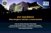 Universidade de São Paulo - cremesp.org.brcremesp.org.br/pdfs/eventos/eve_25042016_132428_Acidente Vascular... · Mortalidade por doenças cerebrovasculares no mundo de 2004 até