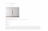 artur lescher | porticus fileartur lescher | porticus curated by Matthieu Poirier with suport from the Galeria Nara Roesler abertura: 16 de outubro, 2017 19h exposição: