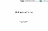 Hidráulica Fluvial - docs.ufpr.br bleninger/arquivos/fluvial/Hidraulica... · PDF file2 Universidade Federal do Paraná (UFPR) Departamento de Hidráulica e Saneamento (DHS) Programa