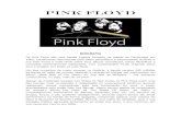 PINK FLOYD - aofa.pt · PINK FLOYD BIOGRAFIA Os Pink Floyd são uma banda inglesa formada na cidade de Cambridge em 1965, inicialmente reconhecida pelo estilo psicodélico e experimental