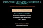 LABORATÓRIO DE BIODIVERSIDADE MOLECULAR …shrimp.ufscar.br/docs_pubs/Microssatelites.pdf · CARACTERISTÍCAS DOS MICROSSATÉLITES I. Apresentam-se flanqueadosporseqüências únicas,