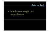 Aula de hoje - UFAM - INTERTROPIintertropi.ufam.edu.br/docs/materia_e_energia_nos_ecossistemas.pdf · • A estrutura trófica e o fluxo de energia através dos ecossistemas. ...