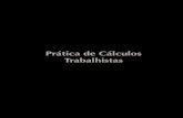 Prática de Cálculos Trabalhistasltr.com.br/loja/folheie/5495.pdf · PAULO CESAR BARIA DE CASTILHO Atuou como perito judicial contábil trabalhista e é mestre em Direito Tributário