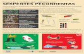 Prevenção e medidas após acidentes com serpentes …bvsms.saude.gov.br/bvs/cartazes/...acidentes_serpentes_peconhenta… · É uma serpente pequena, a maioria colorida e com anéis.