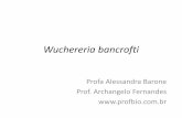 Wuchereria bancrofti - · PDF fileReferência bibliográfica • DE CARLI, Geraldo Attílio. Parasitologia Clínica.2.Ed.São Paulo: Ed. Atheneu, 2207. 906p • NEVES, David Pereira