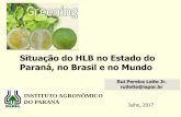 Situação do HLB no Estado do Paraná, no Brasil e no … · • HLB presente no Paraná – Proibição do comércio de mudas cítricas produzidas fora de ambiente protegido ...
