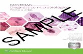 KONEMAN Texto y atlas Koneman. Diagnóstico …media.axon.es/pdf/115317.pdf · Koneman. Diagnóstico microbiológico Texto y atlas 7.ª EDICIÓN Gary W. Procop, MD, MS Medical Director,