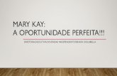 MARY KAY: A OPORTUNIDADE PERFEITA!!! · • Se você enxerga Mary Kay como um ”bico” terá resultados de ”bico”, ... • É impossivel construir um caminho para o sucesso