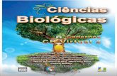 CB Virtual 2portal.virtual.ufpb.br/.../Biblioteca/Livro_2/1-Invertebrados_I.pdf · Os Eumetazoa ingerem outros organismos, digerindo-os em substâncias menores que possam ser absorvidas