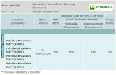 argenteraoilgas.comargenteraoilgas.com/latest-blocks-concessions-10th-bid... · 2010-10-21 · Bioco (Block) : a3T-T-601 Consórcio (Consortia ) Partex Brasil Ltda.* (50%) Partex