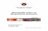 Monografia sobre os Herpesvírus humanosevunix.uevora.pt/%7Esinogas/TRABALHOS/2003/Herpesv%EDrus.pdf · 2004-12-15 · humano de tipo 8 está associado ao sarcoma de Kaposi, e pode