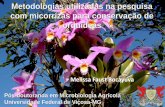 com micorrízas para conservação de orquídeas€¦ · Biodiversitas 2008 (98) IUCN América do Sul (91) Red list de orquídeas . Parque Estadual da Serra Negra (MG): ... Slide