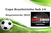 COPA BRASILEIRINHO DE FUTEBOL SUB 14portal.parademinas.mg.gov.br/wp-content/uploads/2018/03/Tabela-e... · Copa Brasileirinho Sub 14 Regulamento 2018 Realização: Centro de Formação