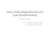 ma visão junguiana do saci (um brasileirinho) · Uma visão junguiana do saci (um brasileirinho) Cláudio Saiani Seminários de Epistemologia e Didática Faculdade de Educação
