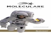 MOLECULARE - biodiversite.com.brbiodiversite.com.br/admin/catalogos/moleculare.pdf · Protocolo: Um gel contendo 1% de Moleculare foi preparado e aplicado na face ... redução da