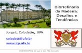 Biorrefinaria da Madeira: Desafios e Tendências · • Casca: Energia ou campo • Lodo biológico: Energia ou descarte • Dregs e cinzas: Descarte ... onto eucayptus kraft pulp