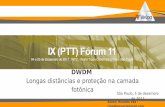 DWDM - forum.ix.brforum.ix.br/files/apresentacao/arquivo/143/05 12 09 00 Rinaldo.pdf · Autor: Rinaldo Vaz - rinaldopvaz@gmail.com Rinaldo Vaz Especialista em redes ópticas de longa