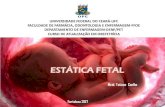 UNIVERSIDADE FEDERAL DO CEARÁ-UFC … · Estática Fetal As relações do feto com a bacia e com o útero constituem a estática fetal Seu estudo permite o conhecimento da nomenclatura
