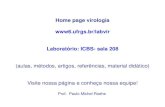 Home page virologia Laboratório: ICBS ... · Home page virologia Laboratório: ICBS- sala 208 (aulas, métodos, artigos, referências, material didático) Visite nossa página e