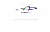 AMAZÔNIA AZUL TECNOLOGIAS DE DEFESA S.A. … · De acordo com a Lei 12.706, de 8 de agosto de 2012, que autorizou sua criação, a AMAZUL tem as seguintes competências: promover,