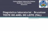 Diagn³stico laboratorial Brucelose - wp.ufpel.edu.brwp.ufpel.edu.br/ccz/files/2016/03/Diagn³stico-laboratorial... 