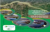 PROGRAMA DE MONITORAMENTO DO RIO SÃO … de... · programa de monitoramento do rio sÃo francisco durante o perÍodo de vazÃo reduzida programa de resgate da ictiofauna no trecho