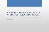 COMPORTAMENTO ORGANIZACIONALfacige.com.br/.../2013/05/Comportamento-organizacional.pdf · 2017-01-31 · SOBRE A DISCPLINA DE COMPORTAMENTO ORGANIZACIONAL Seleme, 2012 A Área de
