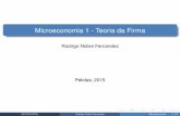 Microeconomia 1 - Teoria da Firma · Microeconomia 1 - Teoria da Firma Rodrigo Nobre Fernandez Pelotas, 2015 ... 3 A despesa da ﬁrma e o custo dos fatores que usa-se na produc¸´