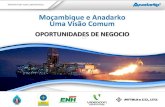 Moçambique e Anadarko Uma Visão Comum - enhlogistics.co.mz · Mocambique nova fonte de GNL - Estratégica ... Contactos (Telefone, Fax e E-mail) (v) Publicação dos estatutos originais