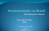 Fernanda De Negri - Página inicial | FGV/EESP - …cnd.fgv.br/sites/cnd.fgv.br/files/Fernanda de Negri.pdf · Produtividade no Brasil: desempenho e determinantes Organizadores: Fernanda
