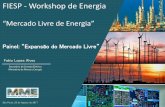 “Mercado Livre de Energia” - az545403.vo.msecnd.netaz545403.vo.msecnd.net/uploads/2017/08/fabio-alves-.pdf · 2 Estrutura atual do Mercado de Energia Elétrica Expansão do Mercado