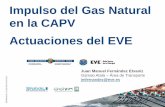 Impulso del Gas Natural en la CAPV Actuaciones del EVEgasnam.es/wp-content/uploads/2015/03/Juan-Manuel-Fernandez-EVE.pdf · DDEC • ALIADOS ESTRATÉGICOS • TEJIDO EMPRESARIAL •