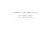 APOSTILA DE ÁLGEBRA II - Milton Procópio de …miltonborba.org/ALGA2/ap_alga2.pdf1.3 Cilindrosprojetantesdeumacurva..... 26 1.4 Construçãogeométricadacurvaformadapelainterseçãodeseus