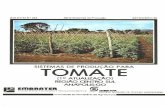 TOMATE DE PRODUÇAO PARA - …ainfo.cnptia.embrapa.br/digital/bitstream/item/43260/1/SID... · INTRODUÇAO O tomate é originário da Cordilheira dos Andes, na América do Sul, onde
