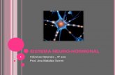 SISTEMA NEURO-HORMONAL - saberesnet.webnode.pt · CONSTITUIÇÃO DO SISTEMA NEURO-HORMONAL O sistema neuro-hormonal é formado pelo sistema nervoso e pelo sistema hormonal. 2