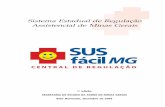 Sistema Estadual de Regulação Assistencial de Minas … · Estado de Minas Gerais vai investir recursos da ordem de 24 ... Contratação de serviços de assessoria técnica e ...