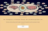 The Pathogenesis of Parkinson Disease: The RIta...  The Pathogenesis of Parkinson Disease: The microbiota-gut-brain