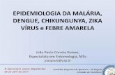 EPIDEMIOLOGIA DA MALÁRIA, DENGUE, … · • 10 milhões de casos de dengue e 100 mil de DHF ... conhecimento acerca da história natural da doença e evita-se o retorno de outro