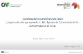 Iniciatiava Latino Americana do Cacao proposta de … · Más oportunidades, un mejor futuro CAF –Banco de Desenvolvimento da América Latina 1990 2000 2015 • Bolivia • Colombia