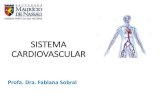 Sistema cardiovascular - downloadportal.sereduc.com€¦ · Sistema circulatório Sistema fechado, sem comunicação com o meio externo, constituídos por tubos (vasos) que circulam