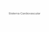 Sistema Cardiovascular - anatomia.icb.ufrj.branatomia.icb.ufrj.br/material/Daniela_Cardiovascular.pdf · Sistema Cárdio-vascular • Grande circulação • Pequena circulação