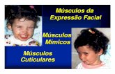 Músculos da Expressão Facial Músculos Mímicos ... · MOORE, K. L. Anatomia orientada para a clínica. 3.ed. Rio de Janeiro: Guanabara Koogan, 1992. ... de todos ou de alguns músculos