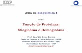 Função de Proteínas: Mioglobina e Hemoglobinagraduacao.iqsc.usp.br/files/Aula08BioqI_FunçãoProteínas-1.pdf · -Desenvolveram proteínas de transporte de O 2 1 –Mioglobina