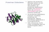Proteínas Globulares • Apesar de proteínas · proteínas de transporte, alguns hormônios peptídicos e imunoglobulinas. ... • A molécula de mioglobina é tão compacta que