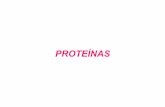 PROTEÍNAS - :: UNESP : Câmpus Experimental de … · consideravelmente e enquanto algumas proteínas consistem de uma ... Mioglobina Albumina do soro ... (transporte) hemoglobina