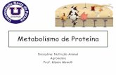 Metabolismo de Proteína€¦ · de veículos de transporte para gorduras, vitaminas e alguns minerais •Vegetais – órgãos reprodutivos e nas folhas ... •Mioglobina •Caseína