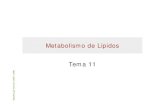 Metabolismo de Lípidos Tema 11s58669cd9b381f673.jimcontent.com/download/version/1283709121/mo… · Bioquímica gE Tema 11A (UVEG - 2006) 10 Etapas en la Oxidación de Acidos Grasos
